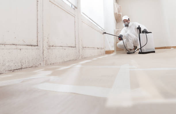24/7 Emergency Commercial Mold Remediation experts in Salem, MA
